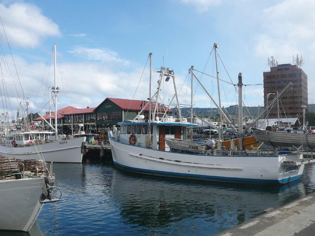 Bonorong Wildlife Sanctuary and Hobart City Tour - image 11